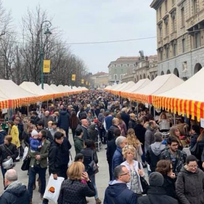 successo-per-lo-sbarazzo-641561